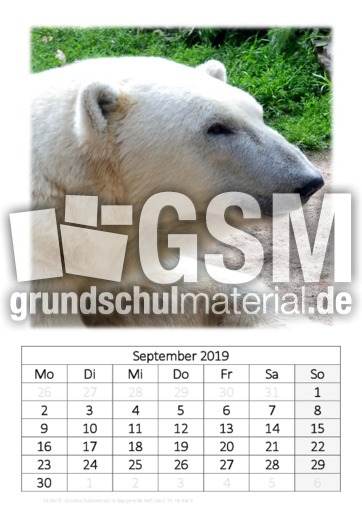 September_Eisbär.pdf